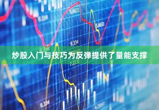 炒股入门与技巧为反弹提供了量能支撑