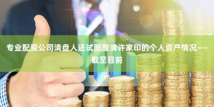 专业配资公司清盘人还试图厘清许家印的个人资产情况——截至目前