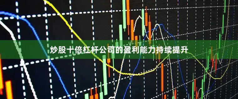 炒股十倍杠杆公司的盈利能力持续提升